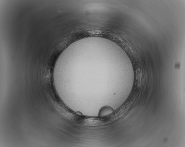 X0000097660614200803211921
