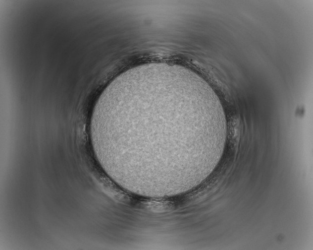 X0000097660615200803211921