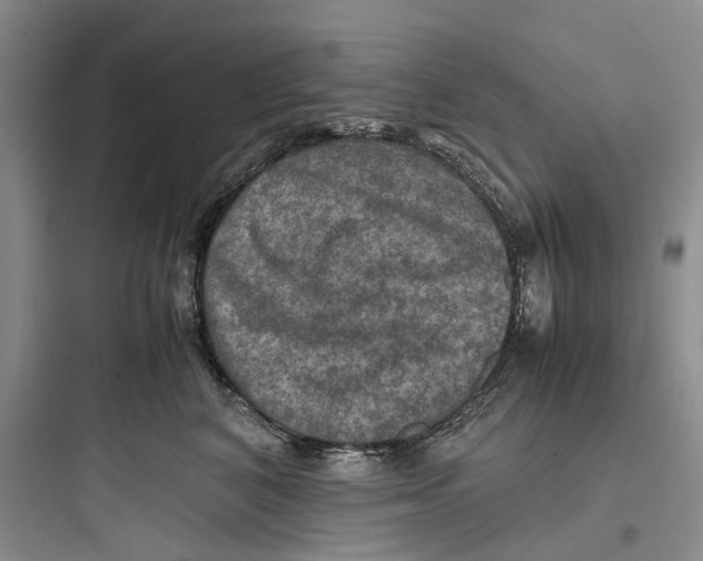 X0000097660616200803211921