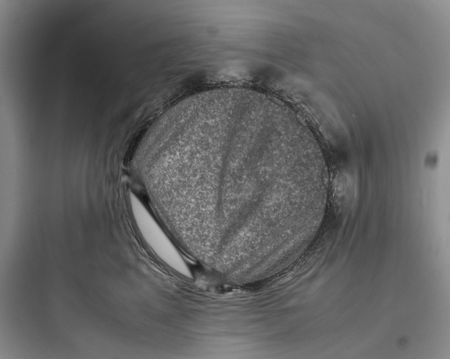 X0000097660617200803211921