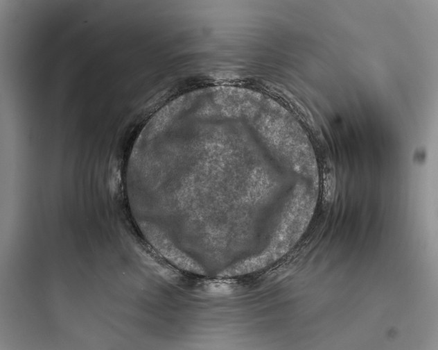 X0000097660618200803211921