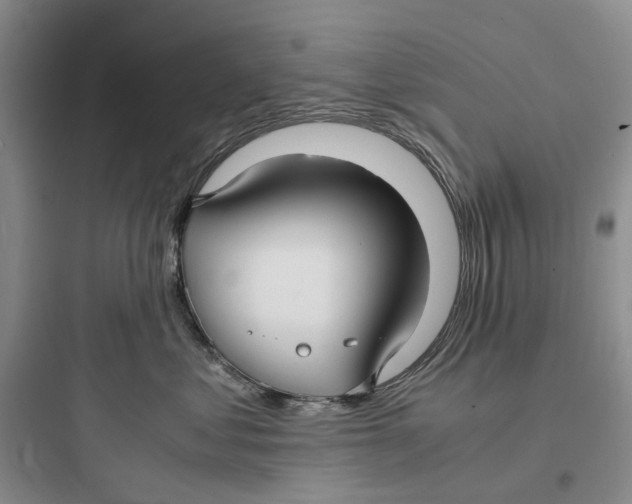 X0000097660621200803211921