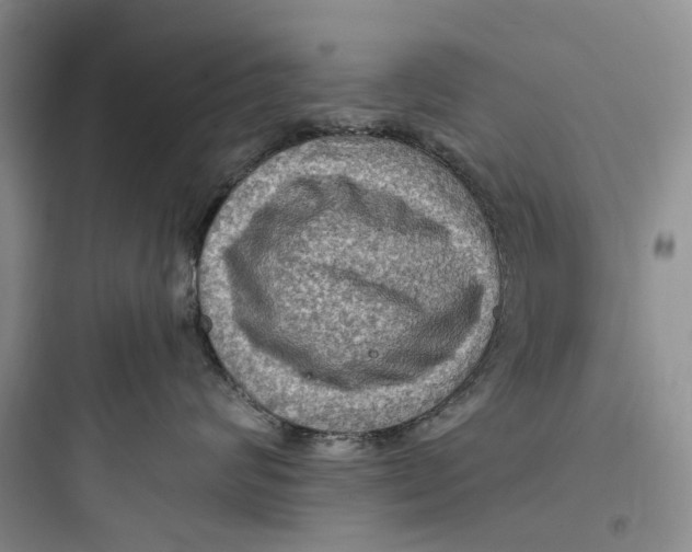 X0000097660624200803211921