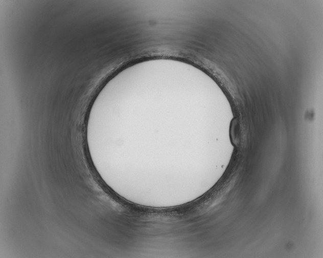 X0000097660625200803211920