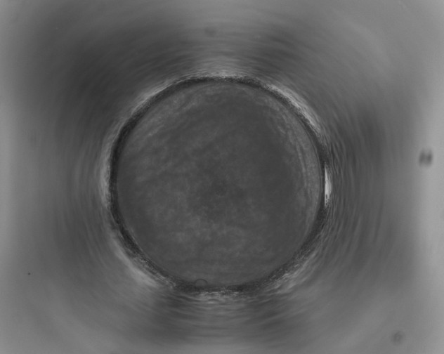 X0000097660627200803211920
