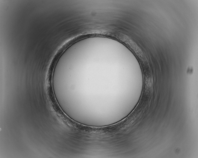 X0000097660628200803211920