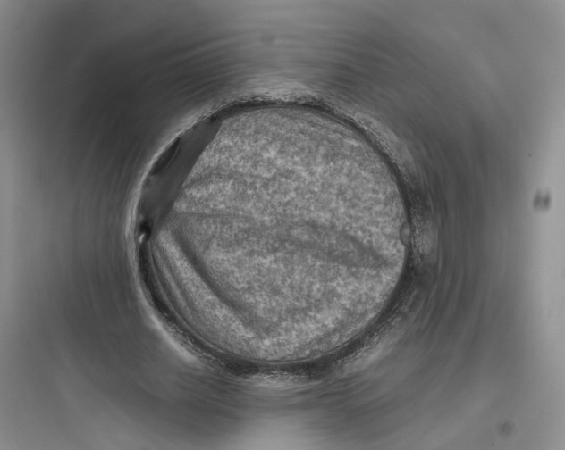 X0000097660630200803211920