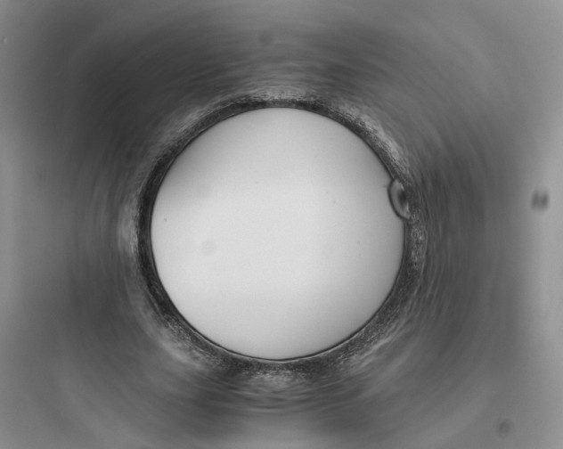 X0000097660631200803211920