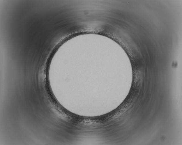 X0000097660632200803211920