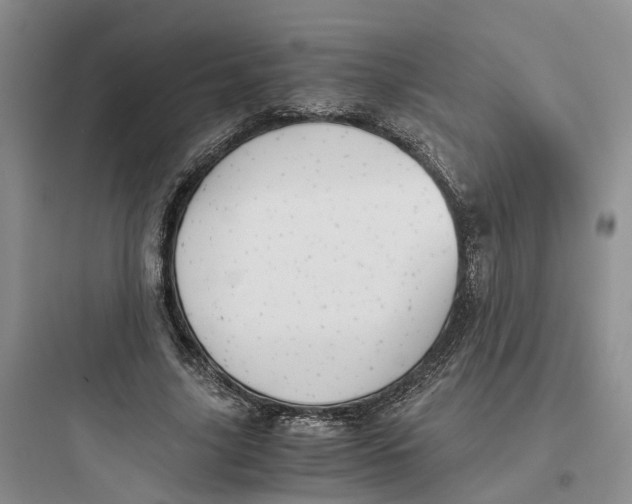 X0000097660635200803211920