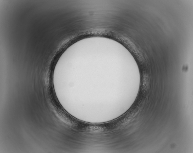 X0000097660636200803211920