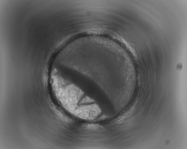 X0000097660637200803211920