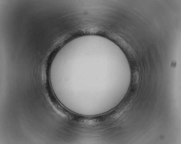 X0000097660638200803211920