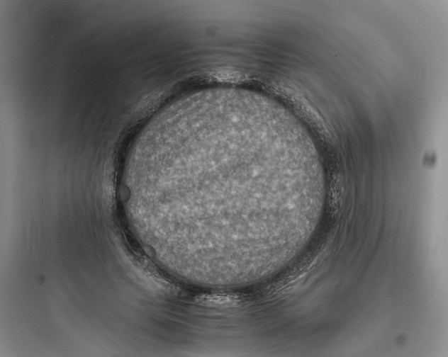X0000097660639200803211920