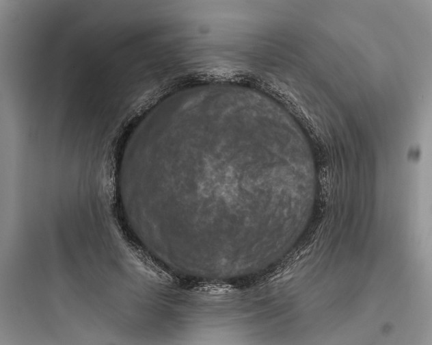 X0000097660642200803211920