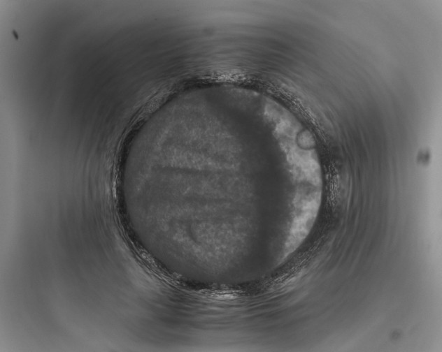 X0000097660643200803211920