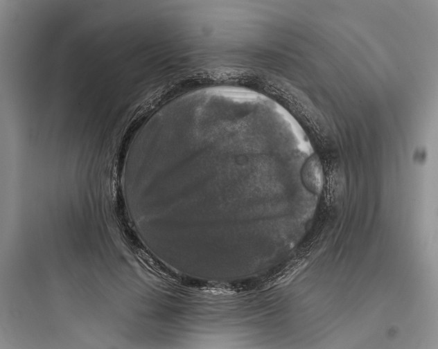 X0000097660644200803211920