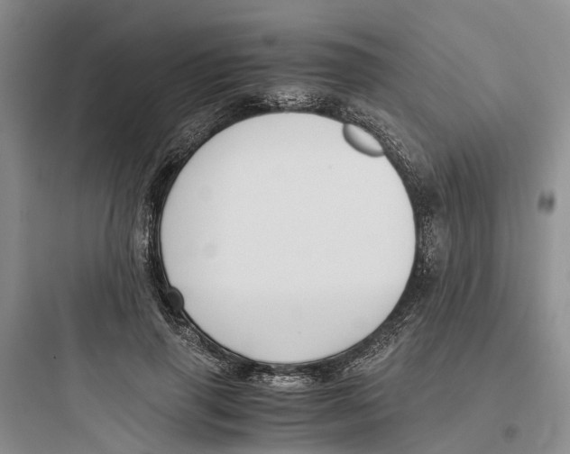 X0000097660645200803211920