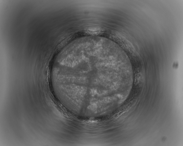 X0000097660647200803211921