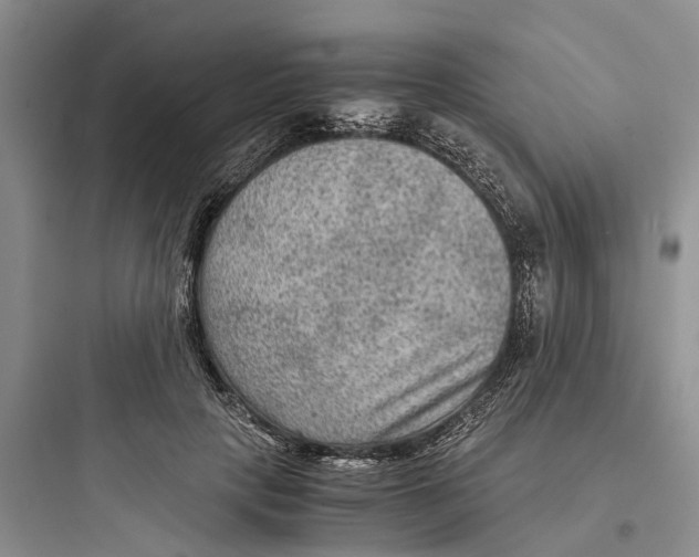 X0000097660649200803211921