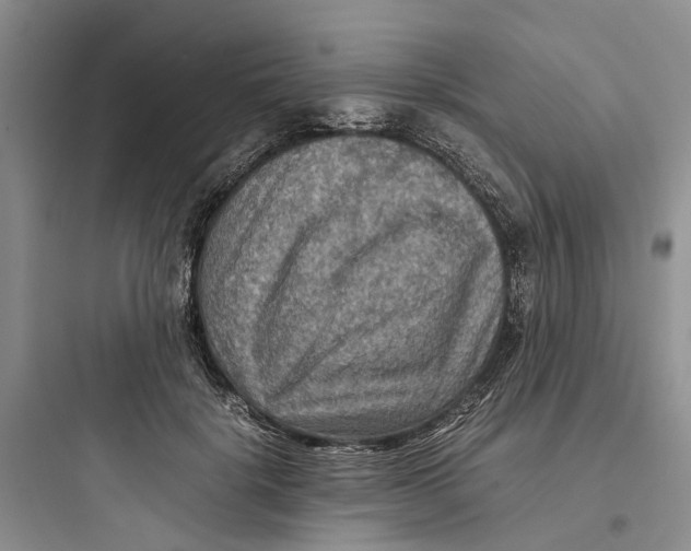 X0000097660652200803211921