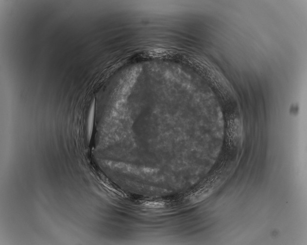 X0000097660653200803211921