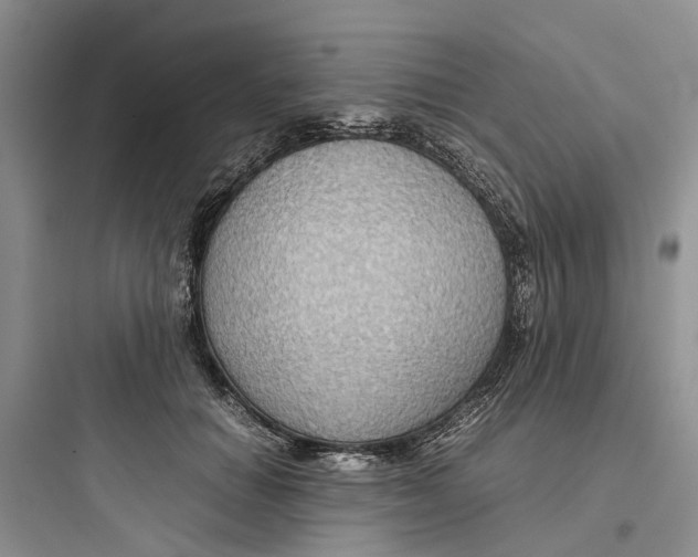 X0000097660654200803211921