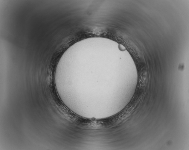 X0000097660656200803211921