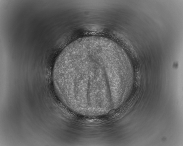 X0000097660657200803211921