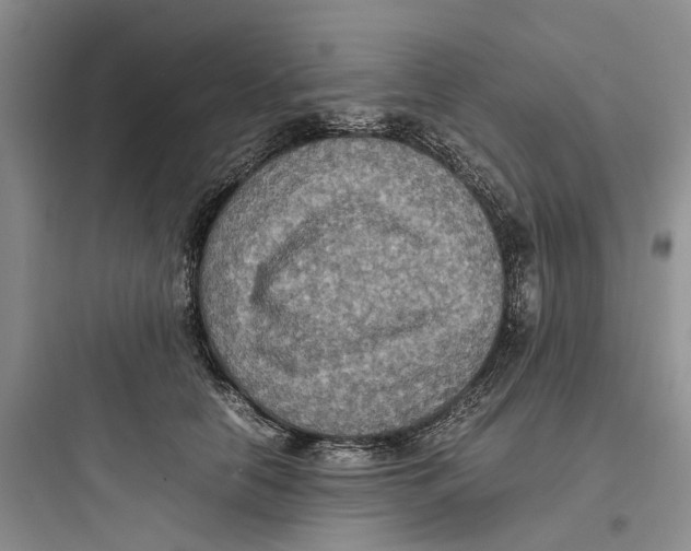 X0000097660658200803211921