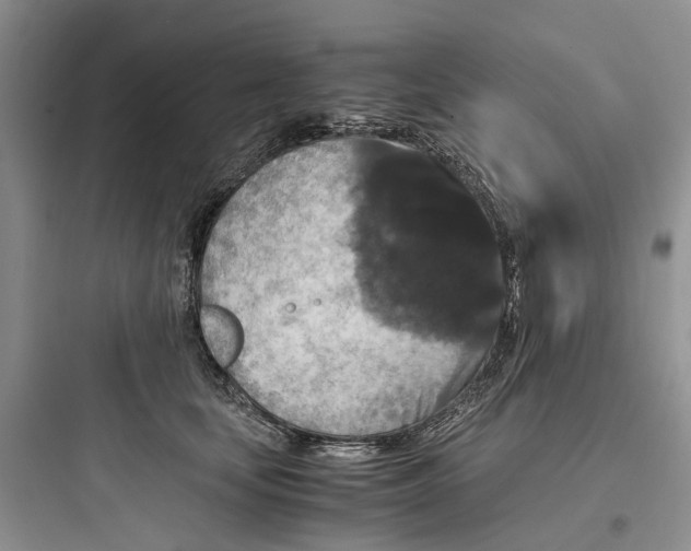 X0000097660659200803211921