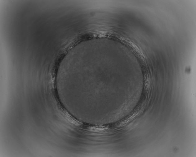 X0000097660661200803211921