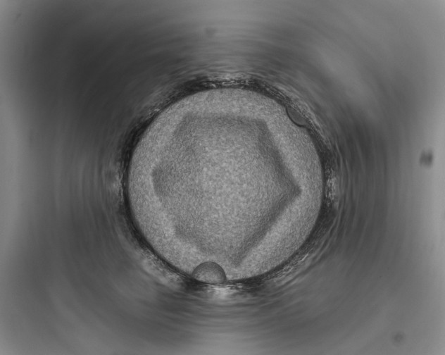 X0000097660662200803211921