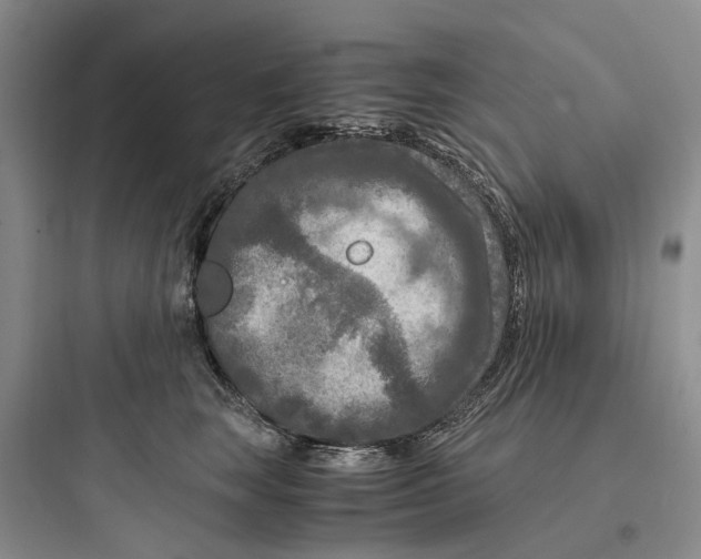 X0000097660663200803211921