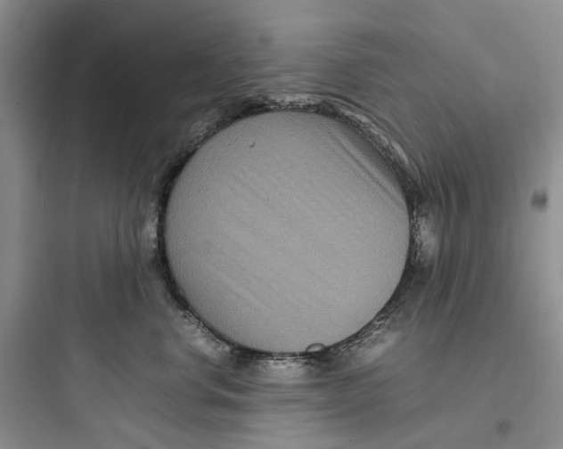 X0000097660668200803211921