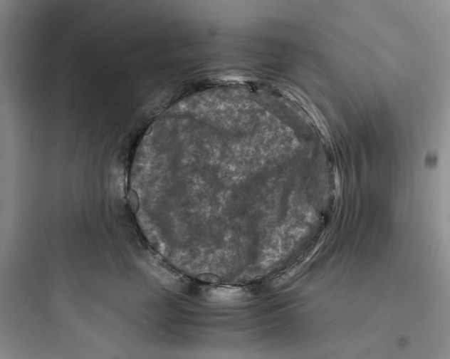 X0000097660669200803211921