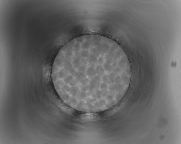 X0000097660672200803211921