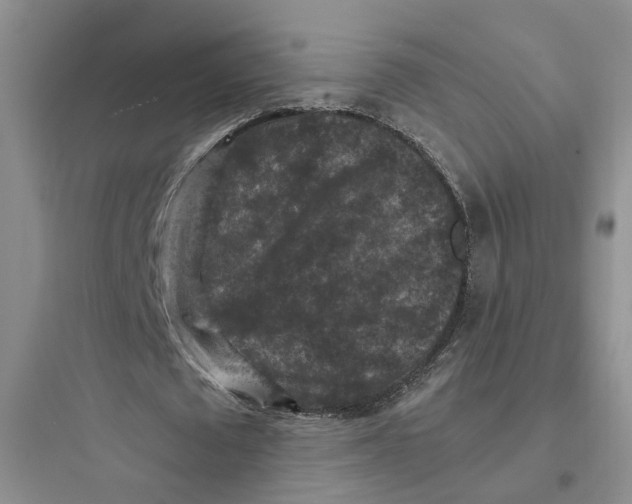 X0000097660673200803211920