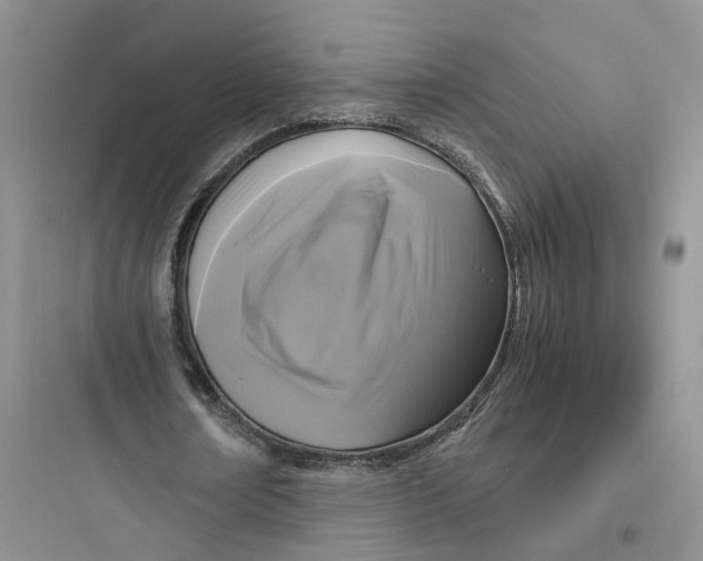 X0000097660674200803211920