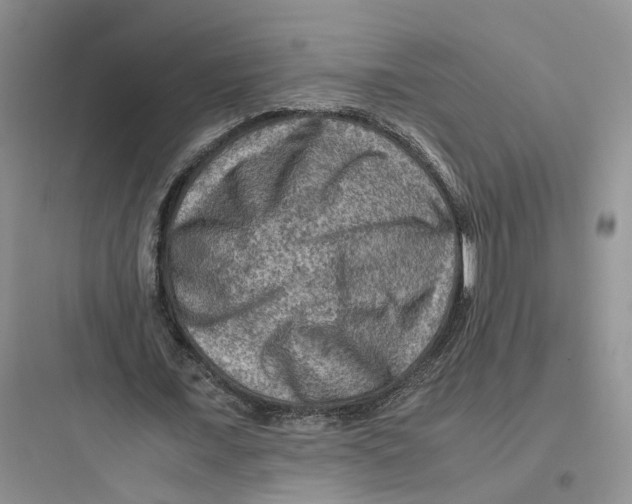 X0000097660675200803211920