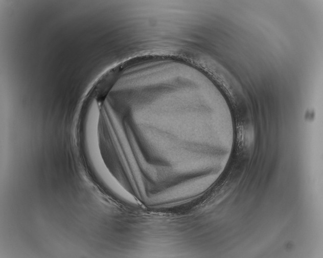 X0000097660676200803211920