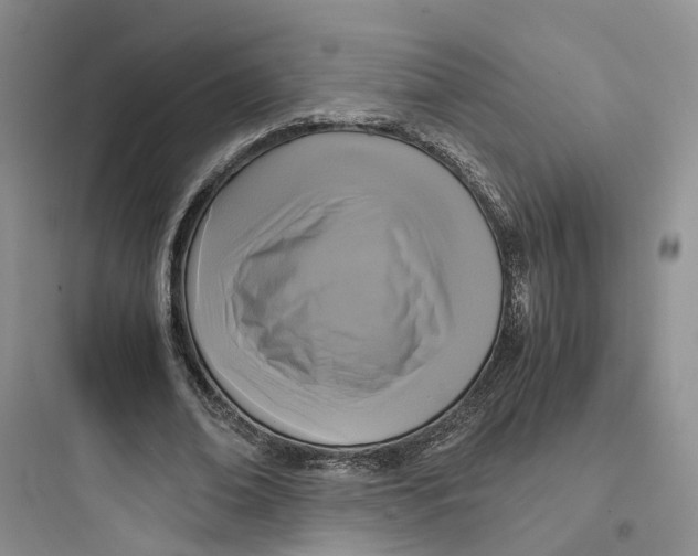 X0000097660678200803211920