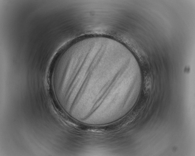 X0000097660680200803211920