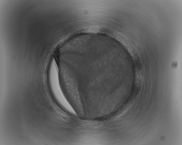 X0000097660681200803211920