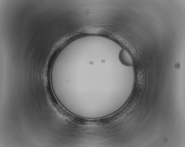 X0000097660682200803211920
