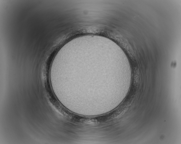 X0000097660683200803211920