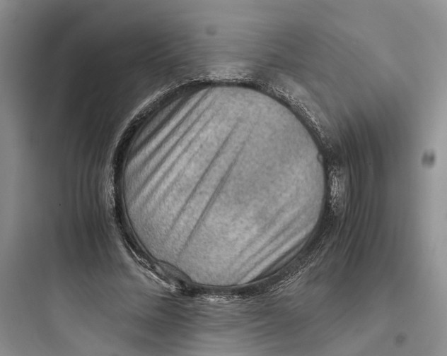 X0000097660684200803211920
