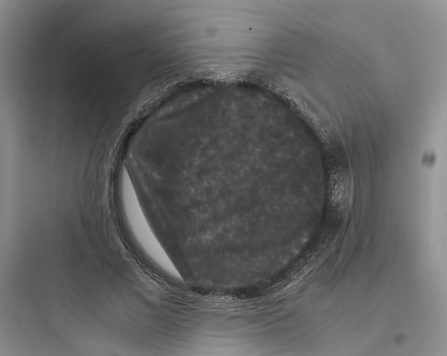 X0000097660685200803211920