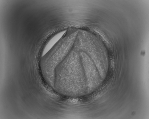 X0000097660687200803211920
