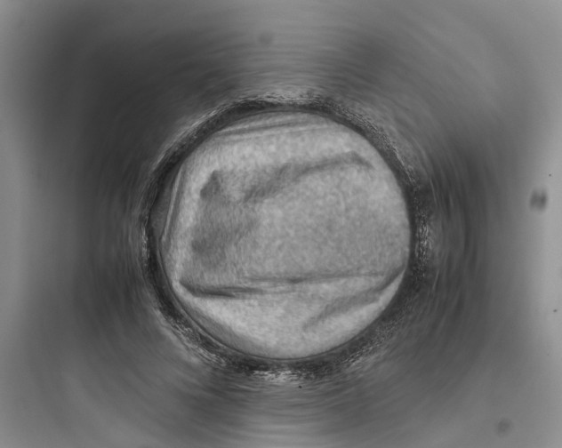 X0000097660688200803211920